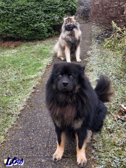 15.12.2025 - Blick Richtung Schnee